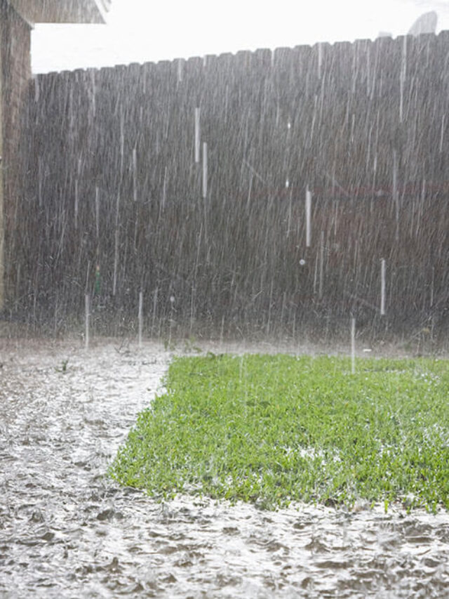 Importance of Interior Basement Waterproofing