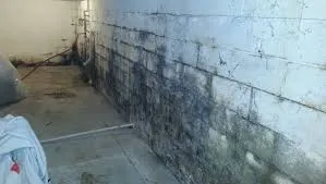 interior basement waterproofing