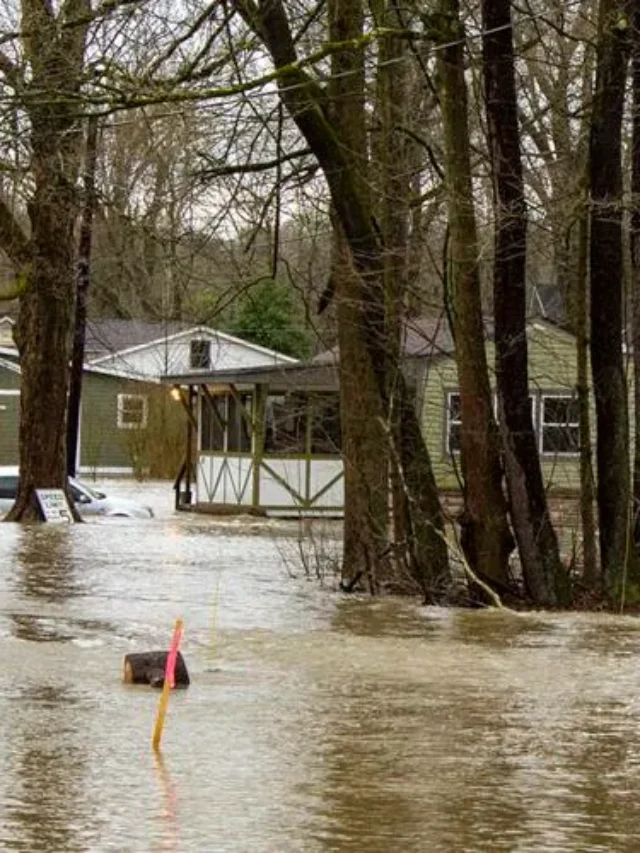 How To Protect Your House From Water Leaks