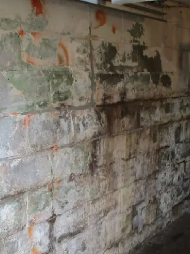 3 Reasons You Need Foundation Waterproofing