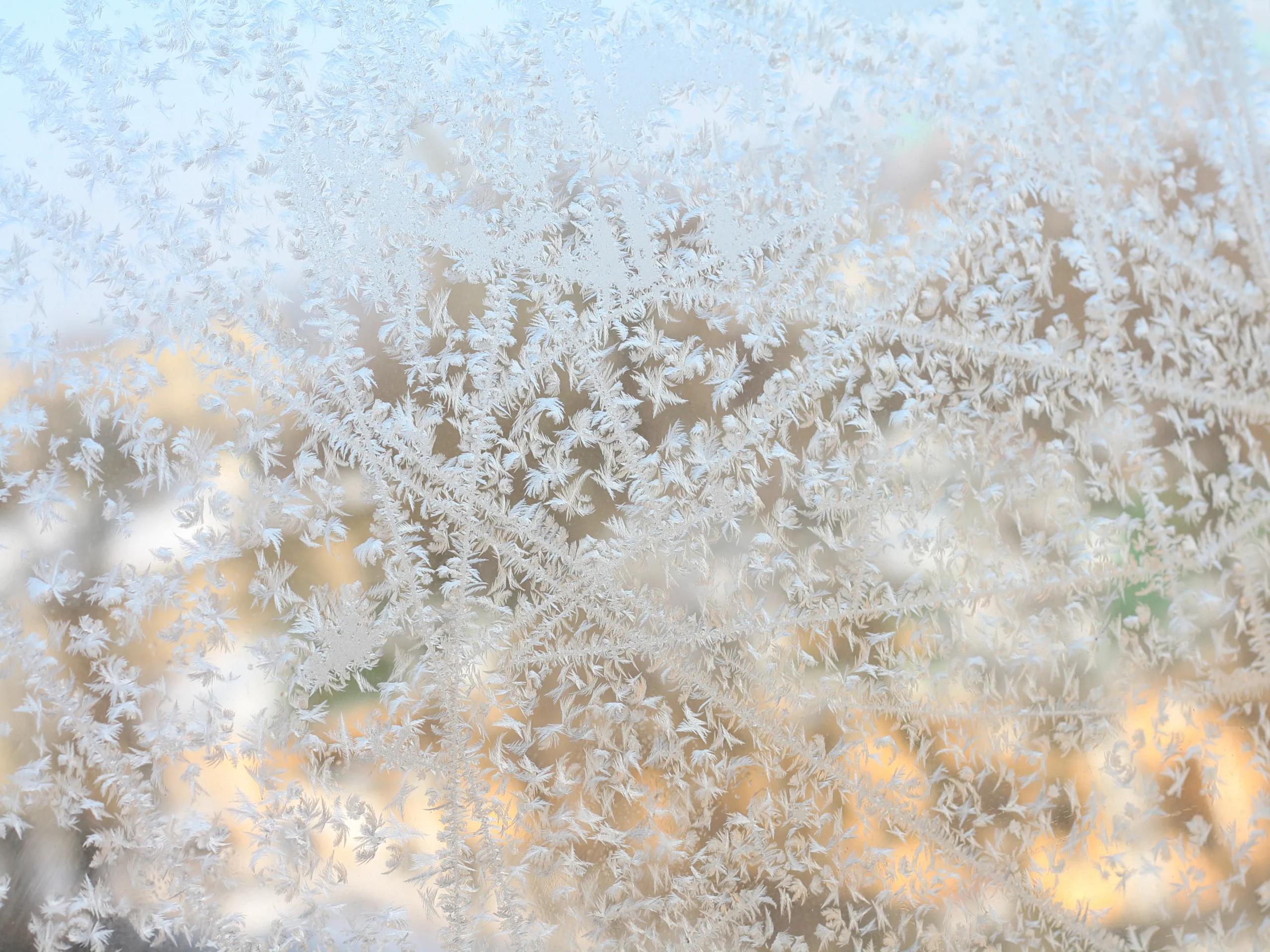 snowflakes frosted over on basement window