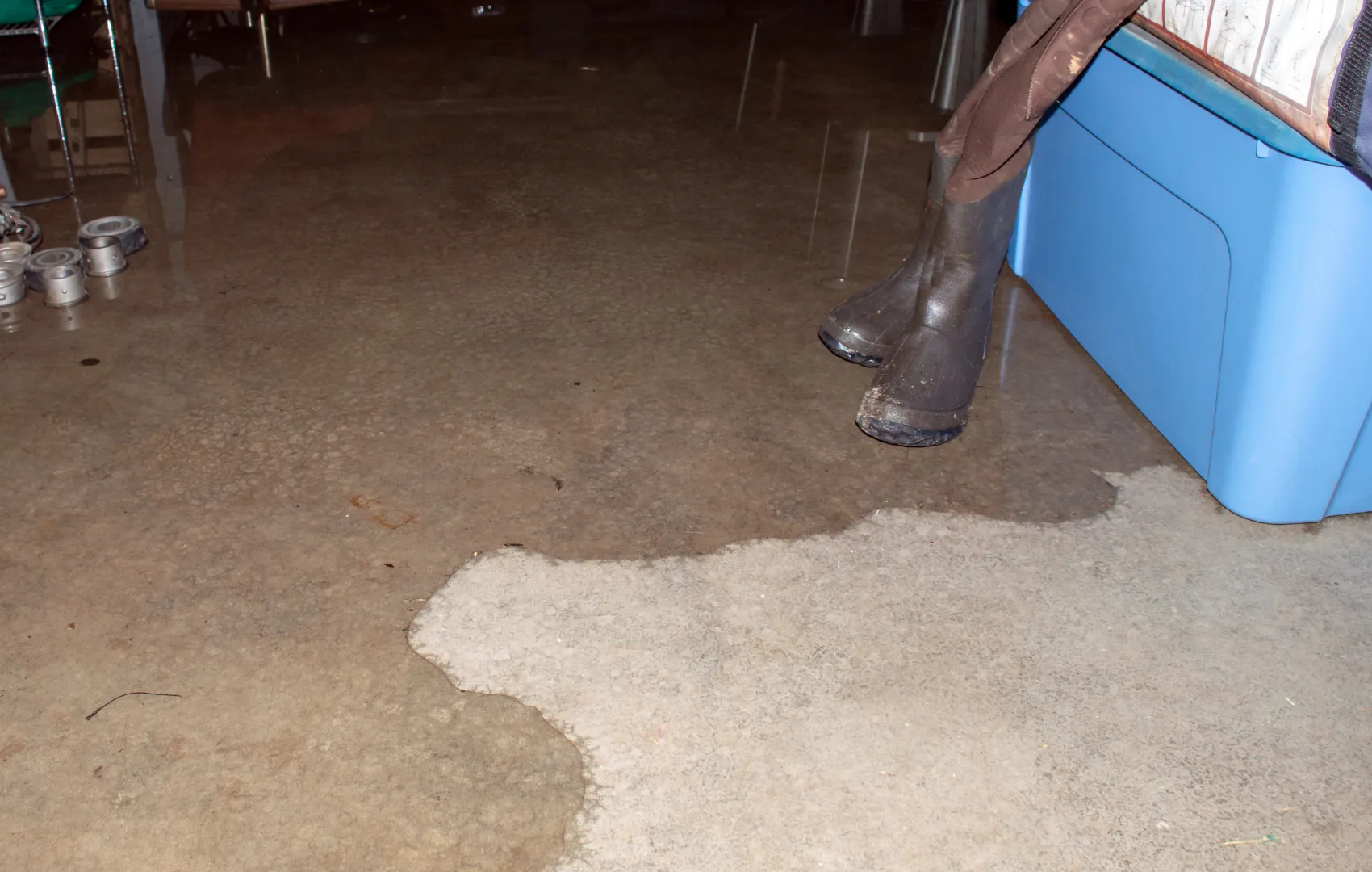 water puddle in basement from water leak