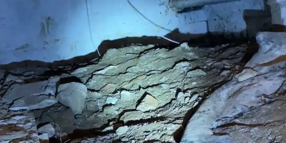 Fox Chapel Crawl Space