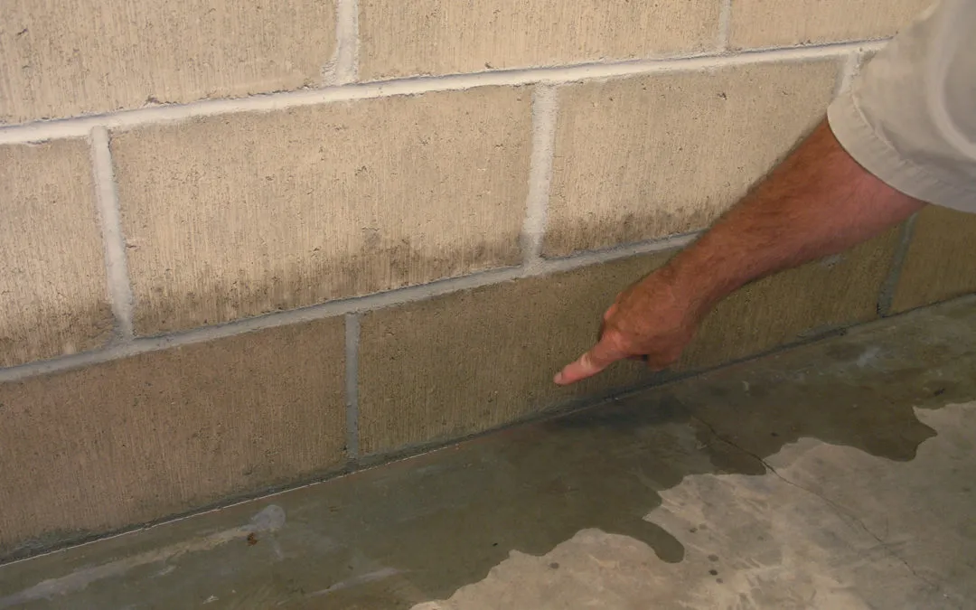 foundation waterproofing near me