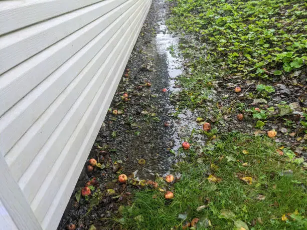 how to protect your home from rain damage; basement waterproofing